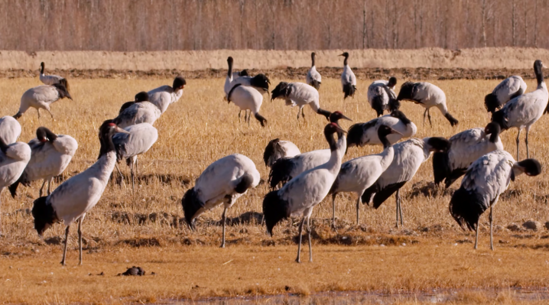 云南省文化和旅游厅