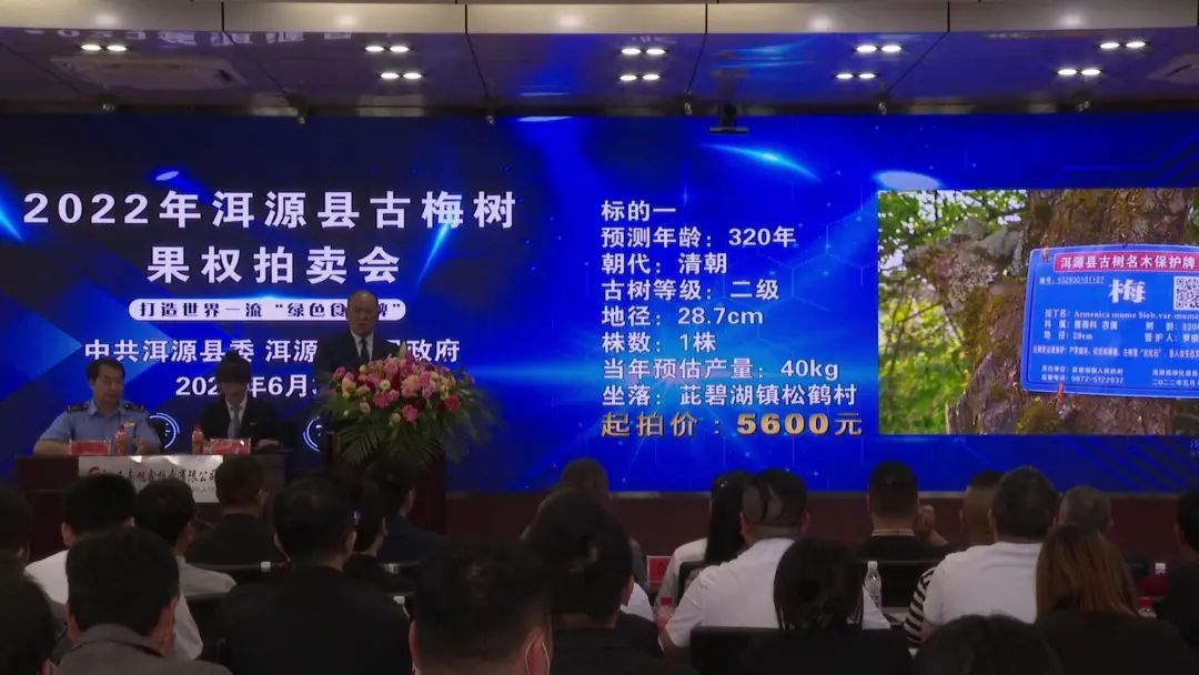 大理电视台