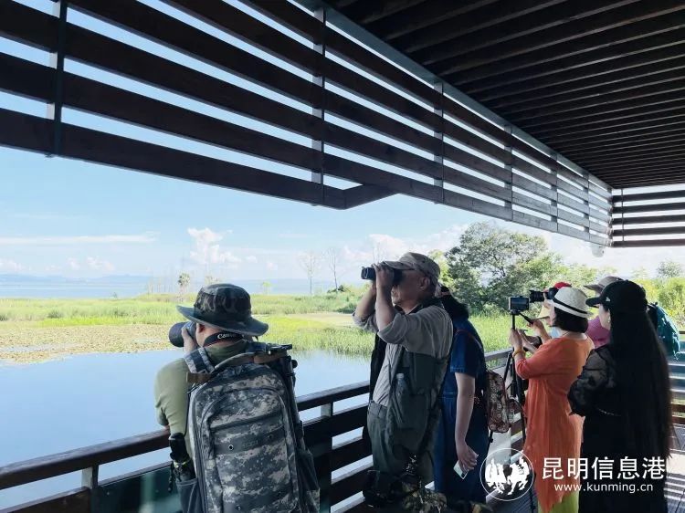 唯美官渡