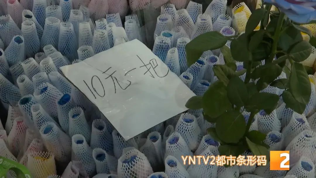 春城晚报