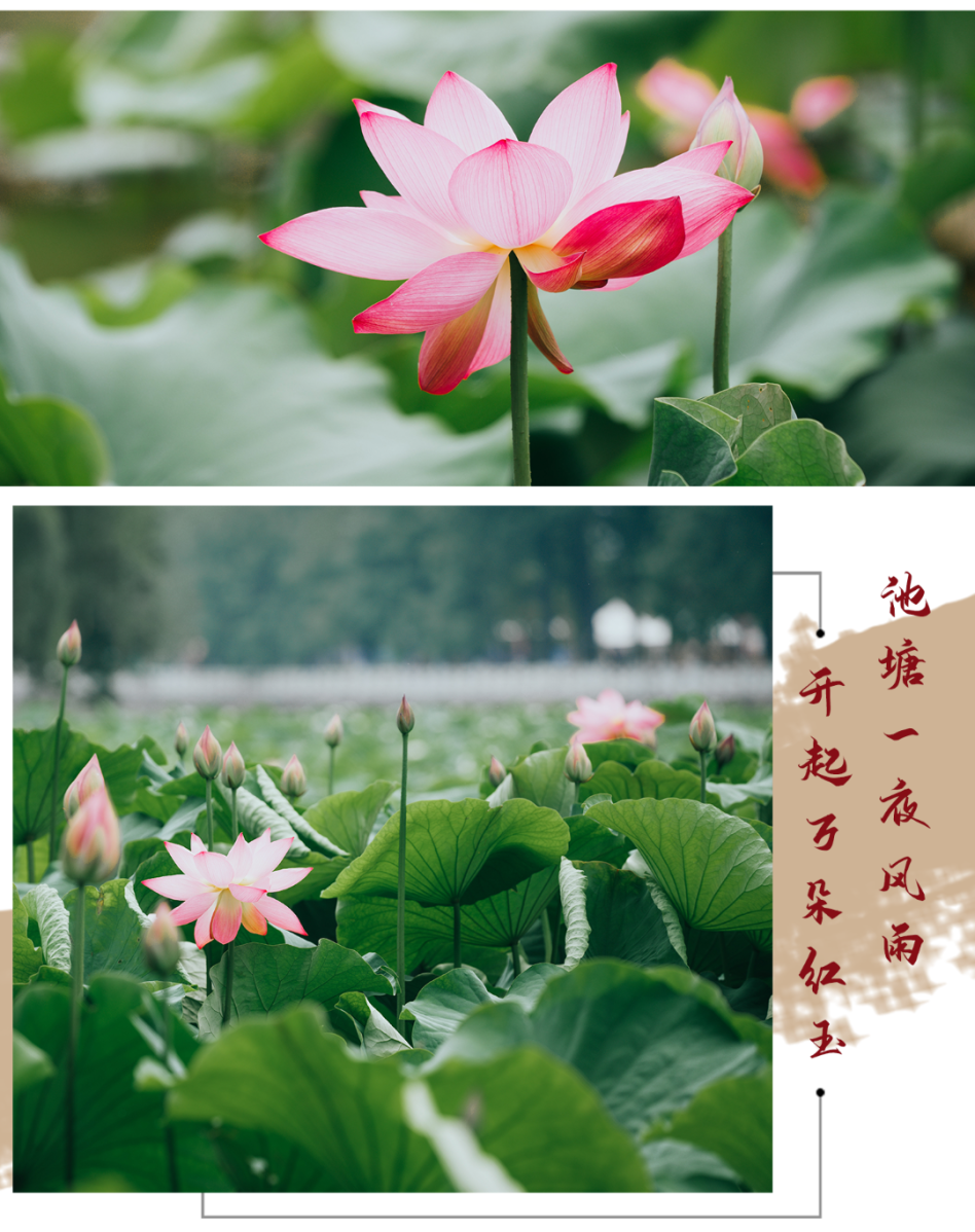 昆明生态环境
