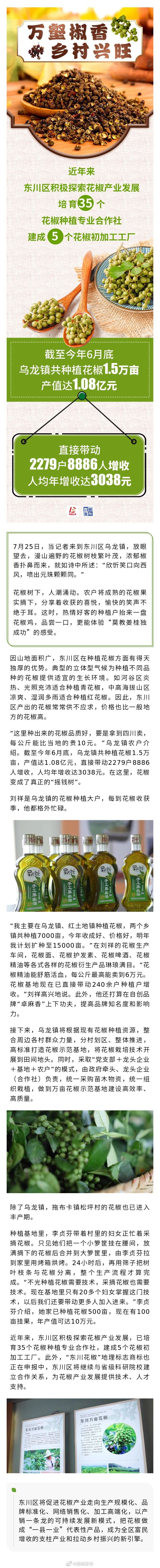 昆明东川 如此多“椒”