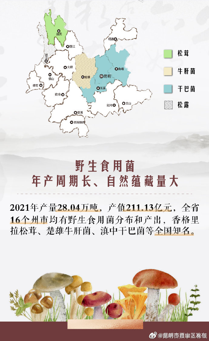 昆明市西山区发布