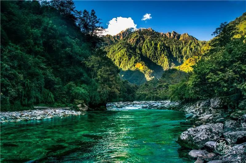 云南省文化和旅游厅