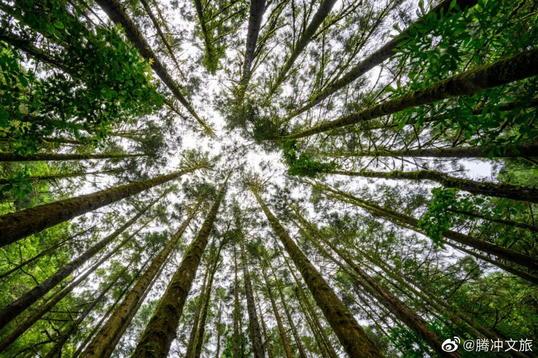 腾冲文旅微博