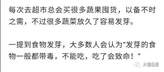 大理日报