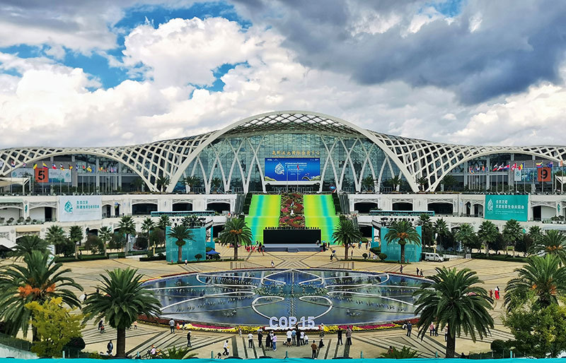 云南省文化和旅游厅