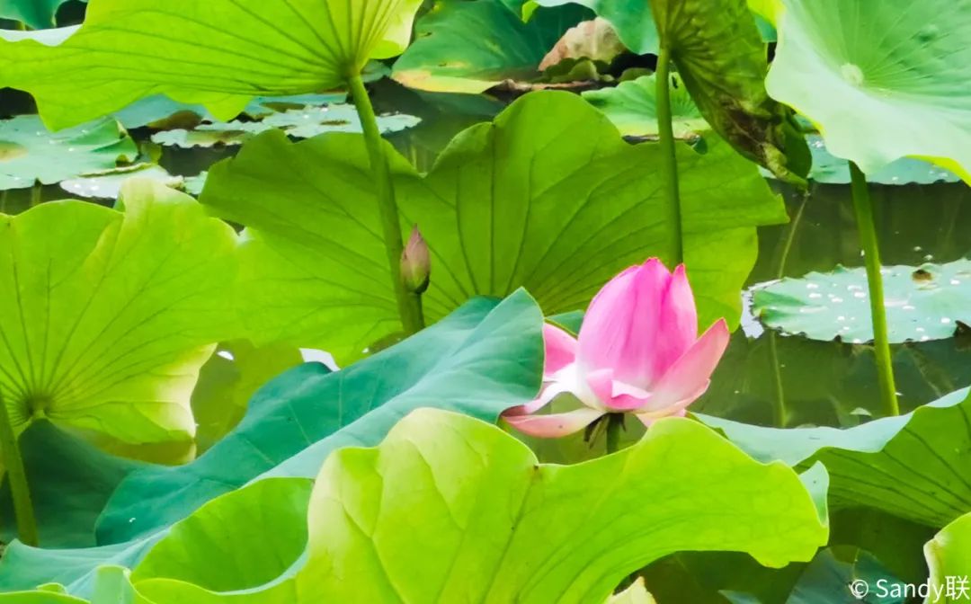 文明昆明