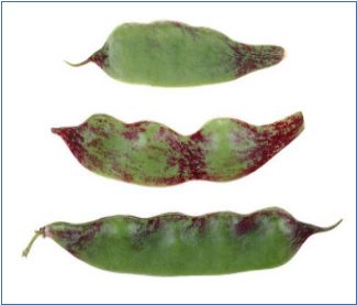 昆明阳宗海风景名胜区(微信)