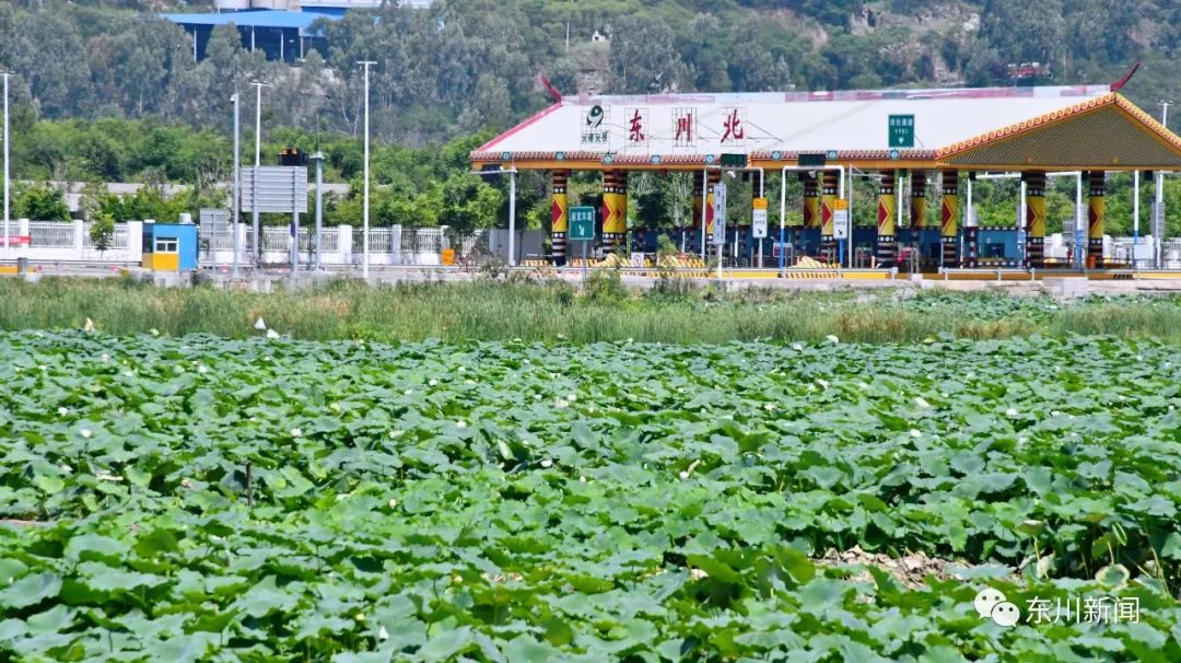东川新闻