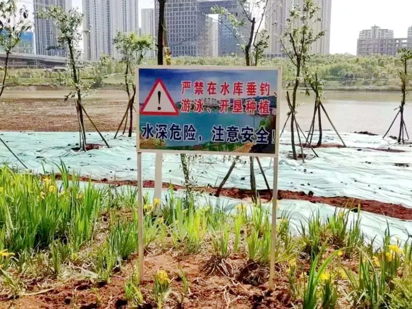 呈贡发布