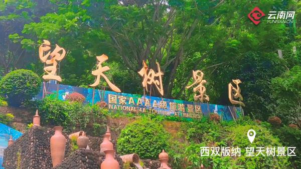 云南省文化和旅游厅