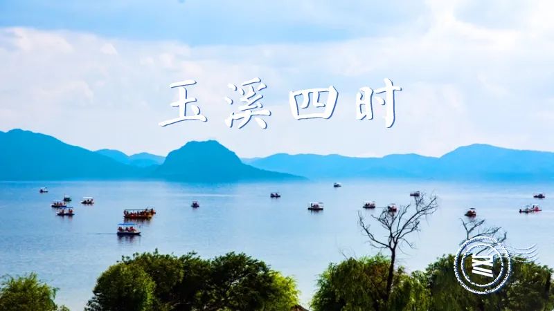 昆明信息港/cnkmxxg