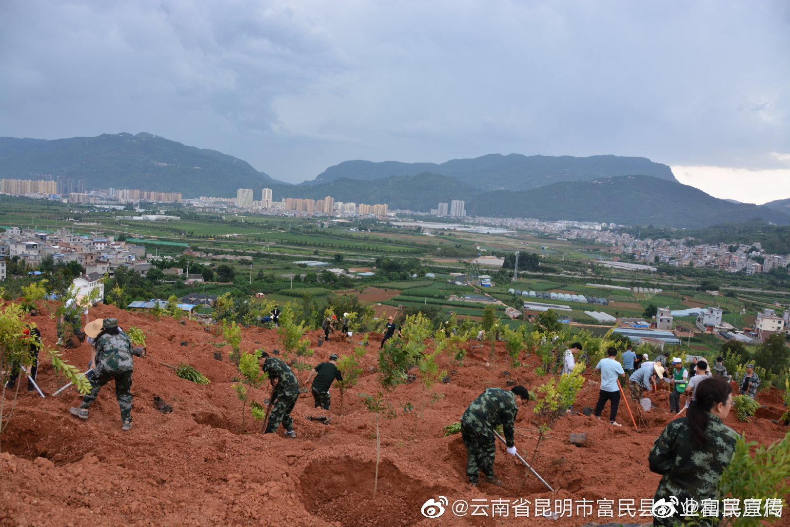 富民县启动2022年全民义务植树活动暨县城面山绿化行动