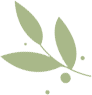 东川新闻