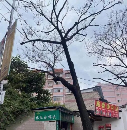 昆明西山发布
