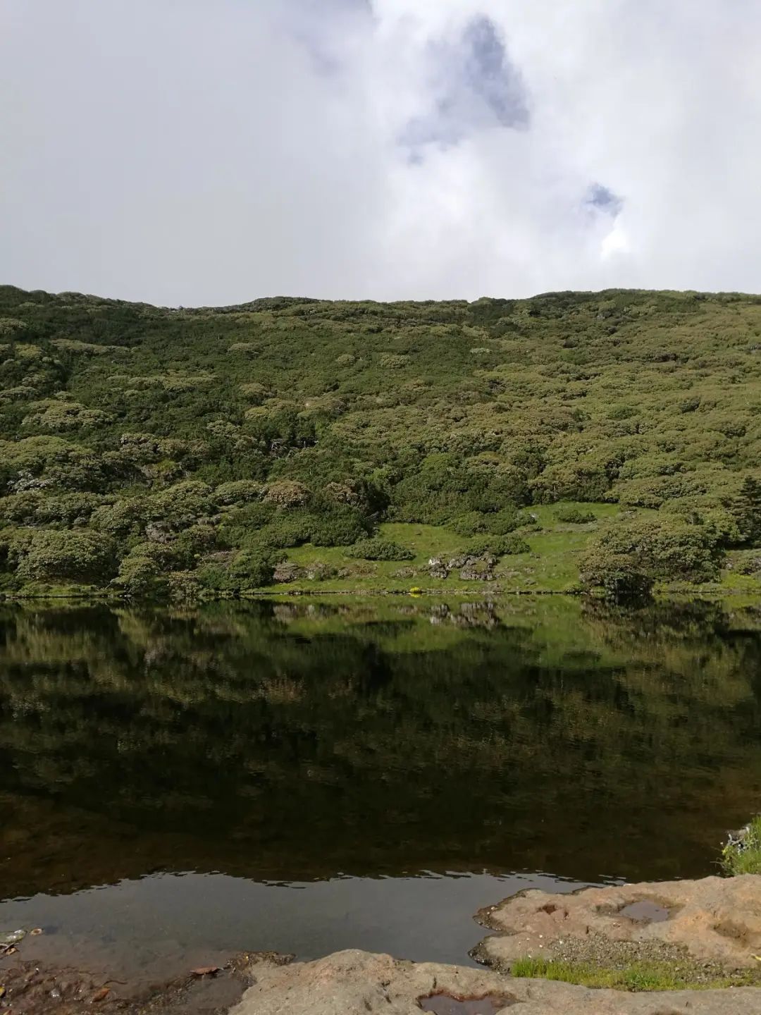 昆明轿子山旅游