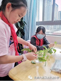 盘龙教育(微信)