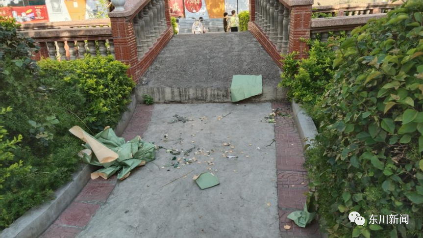 东川新闻
