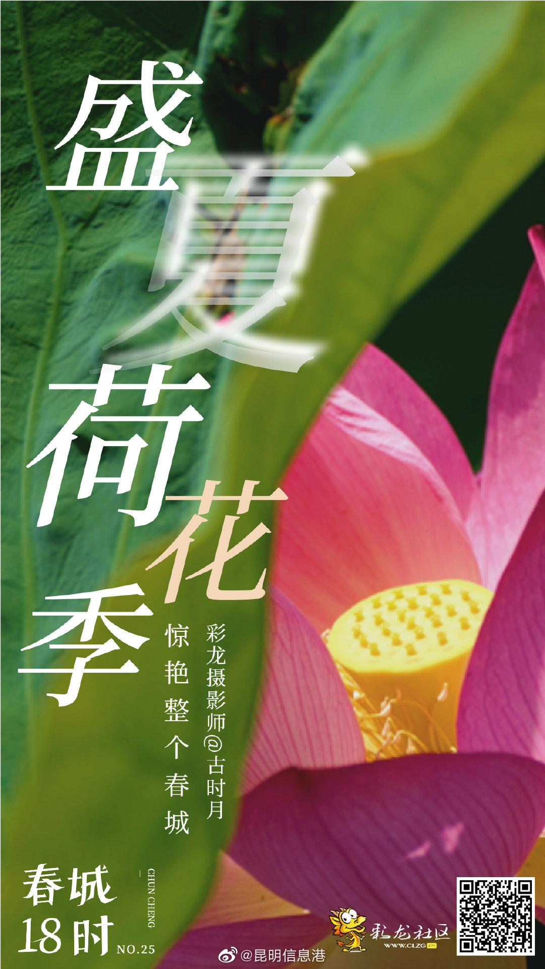 昆明信息港