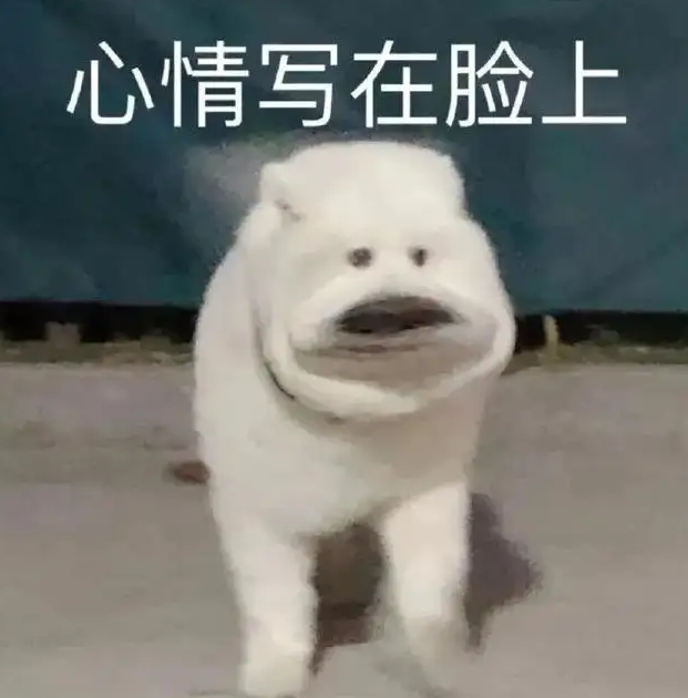 昆明信息港/cnkmxxg