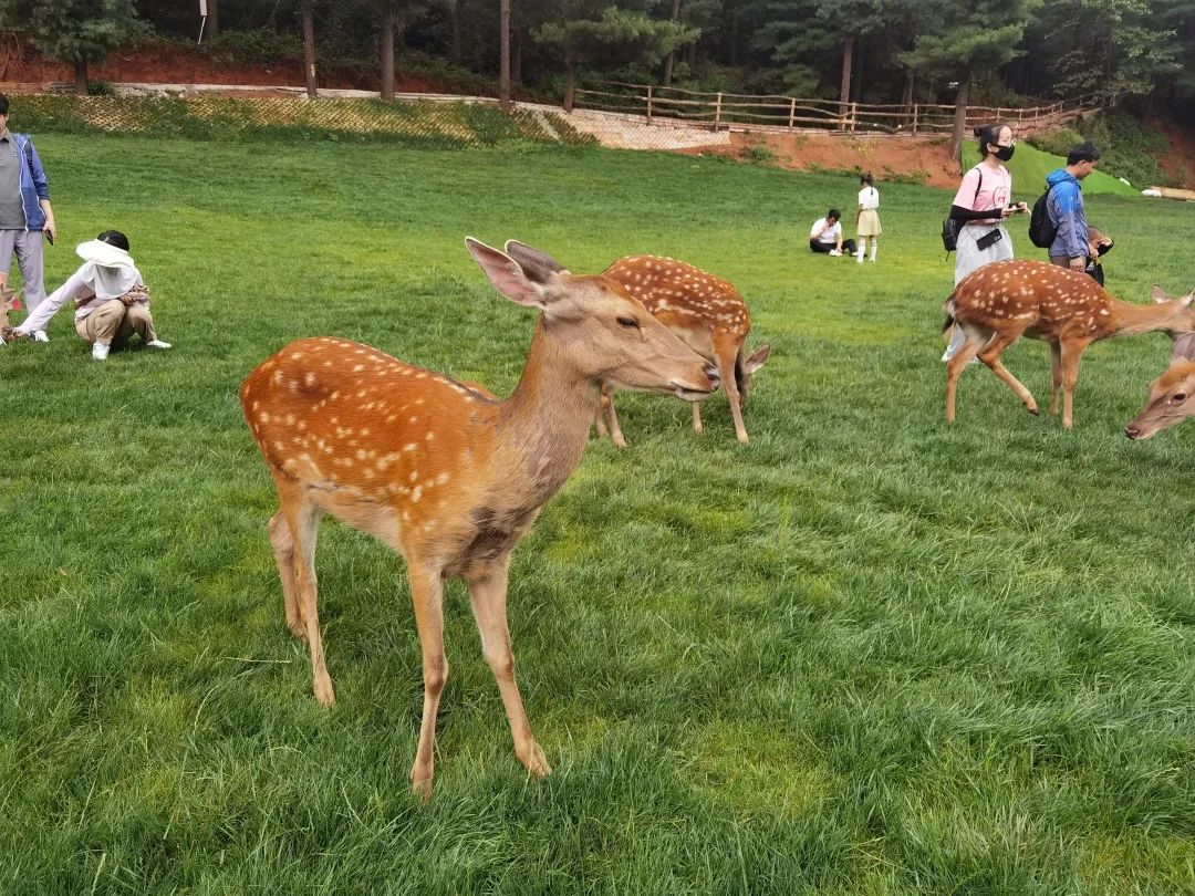 昆明发布