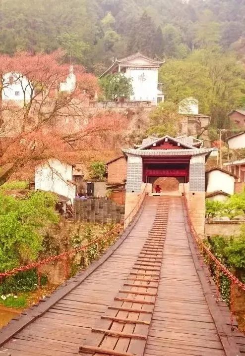 大理电视台
