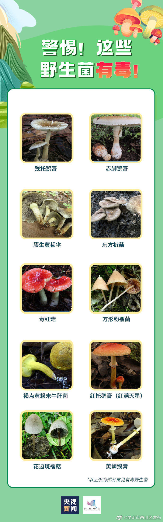 昆明市西山区发布