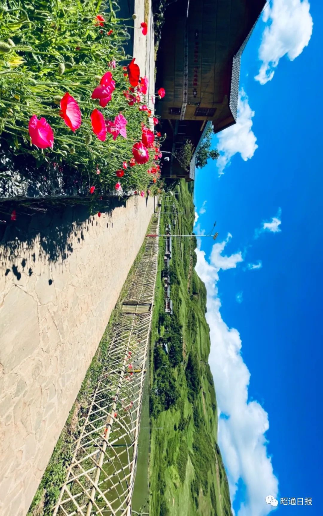 昭通日报