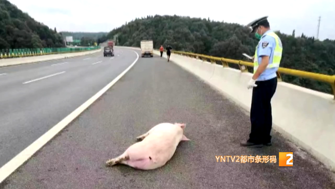 昆明信息港/cnkmxxg