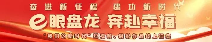微观盘龙