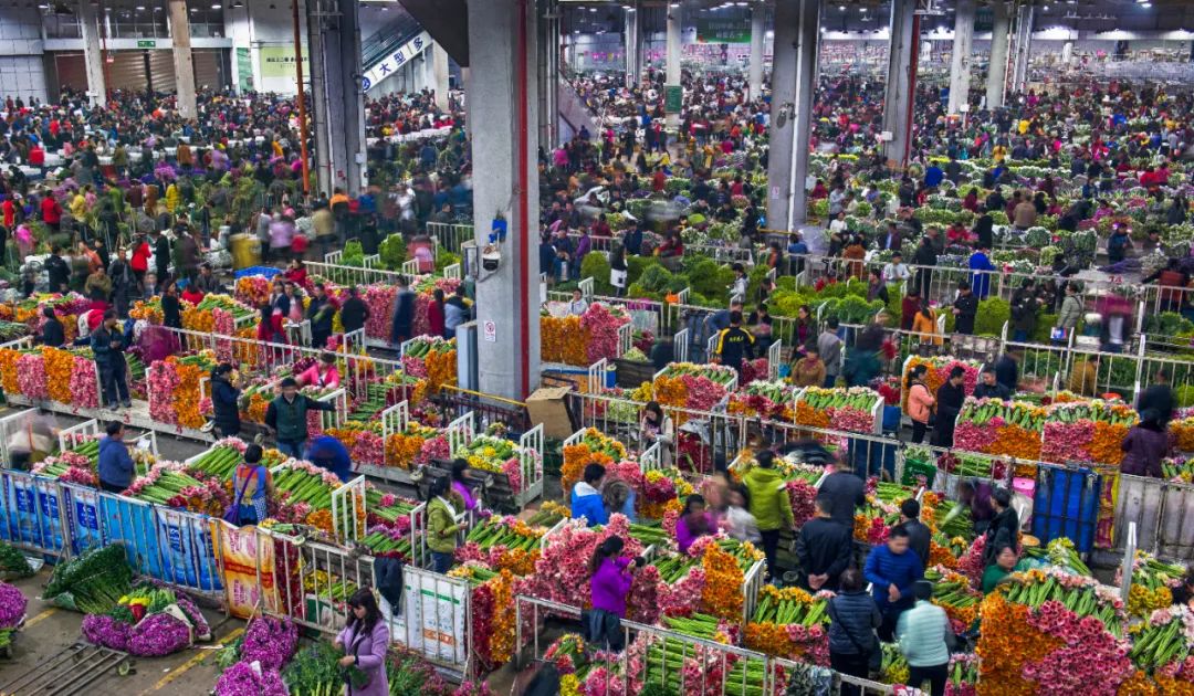 云南省人民政府网