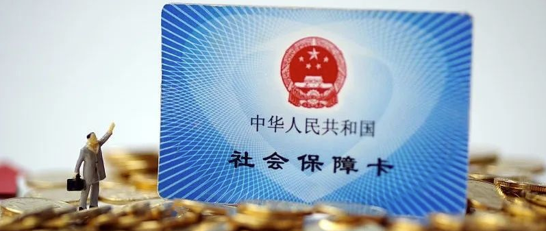 微观盘龙
