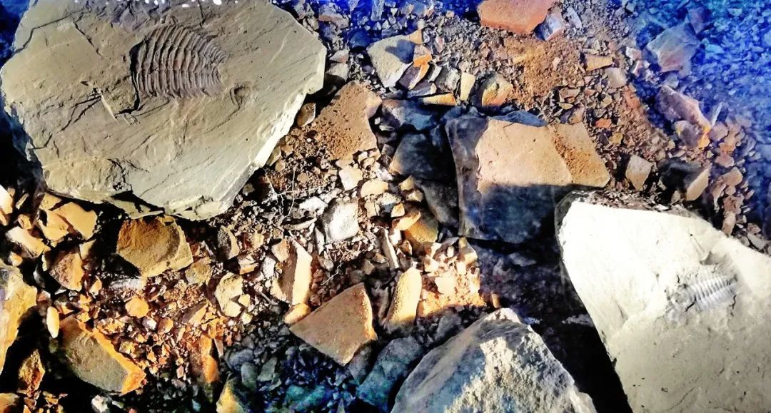 云南省文化和旅游厅