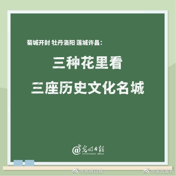 菊城开封牡丹洛阳与莲城许昌:三种花里看三座历史文化名城