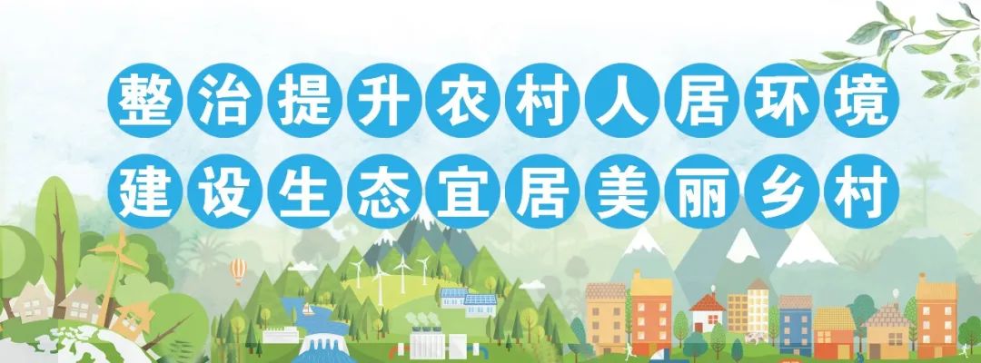 丽江日报