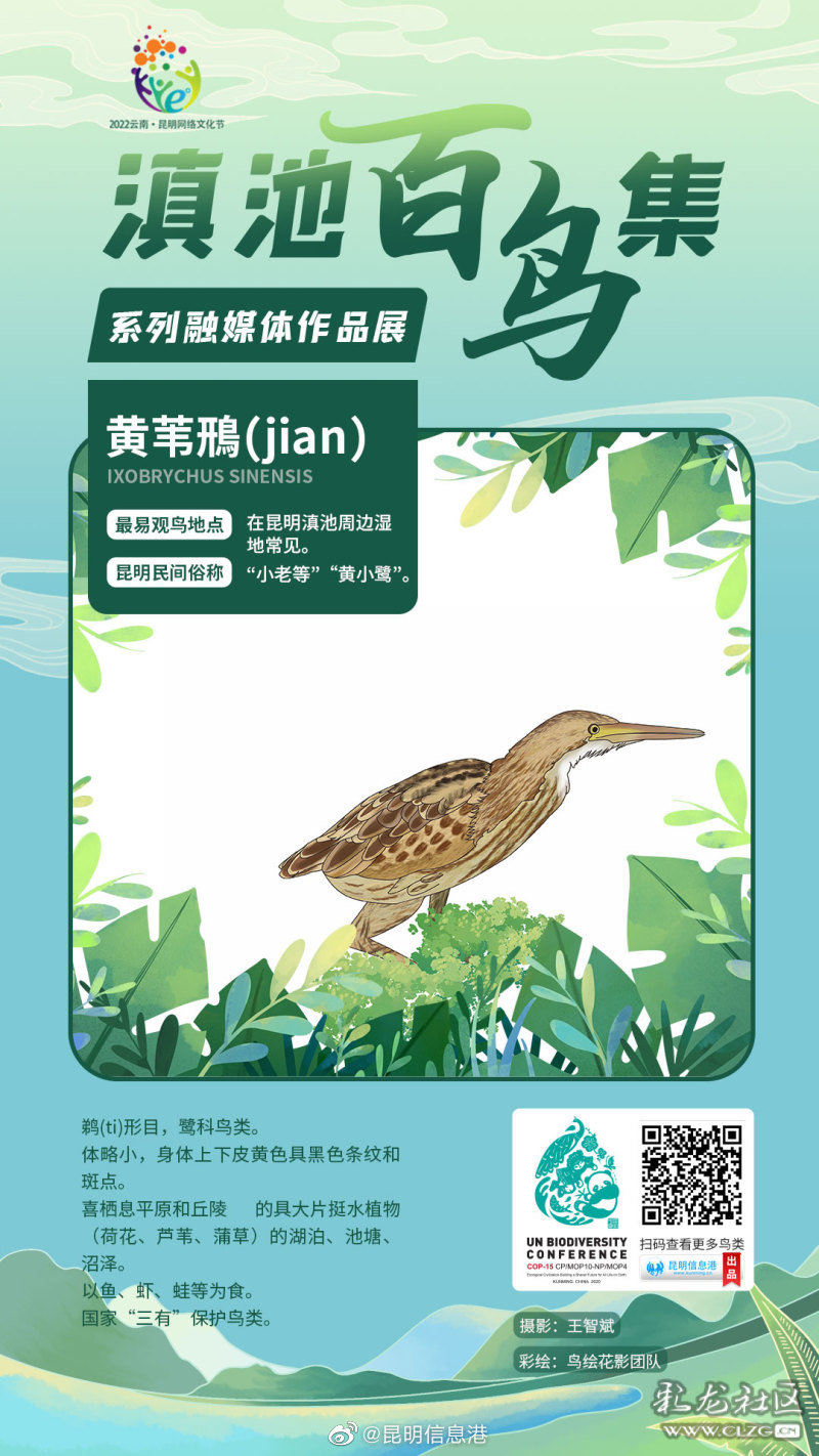 昆明信息港