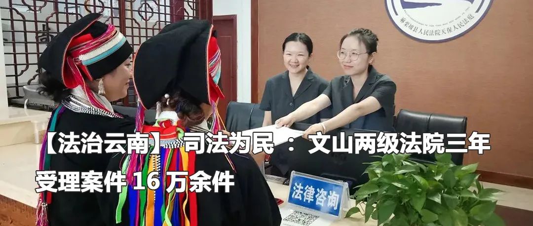 云南政法