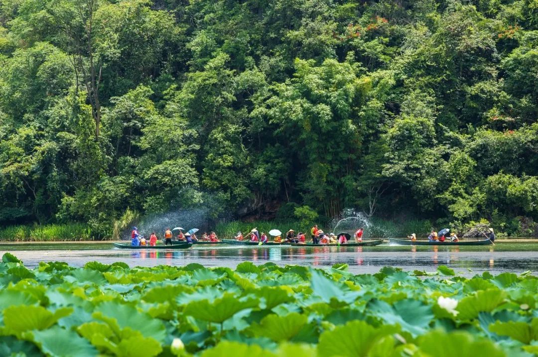 云南省文化和旅游厅