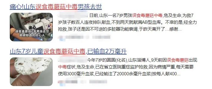 昆明信息港/cnkmxxg