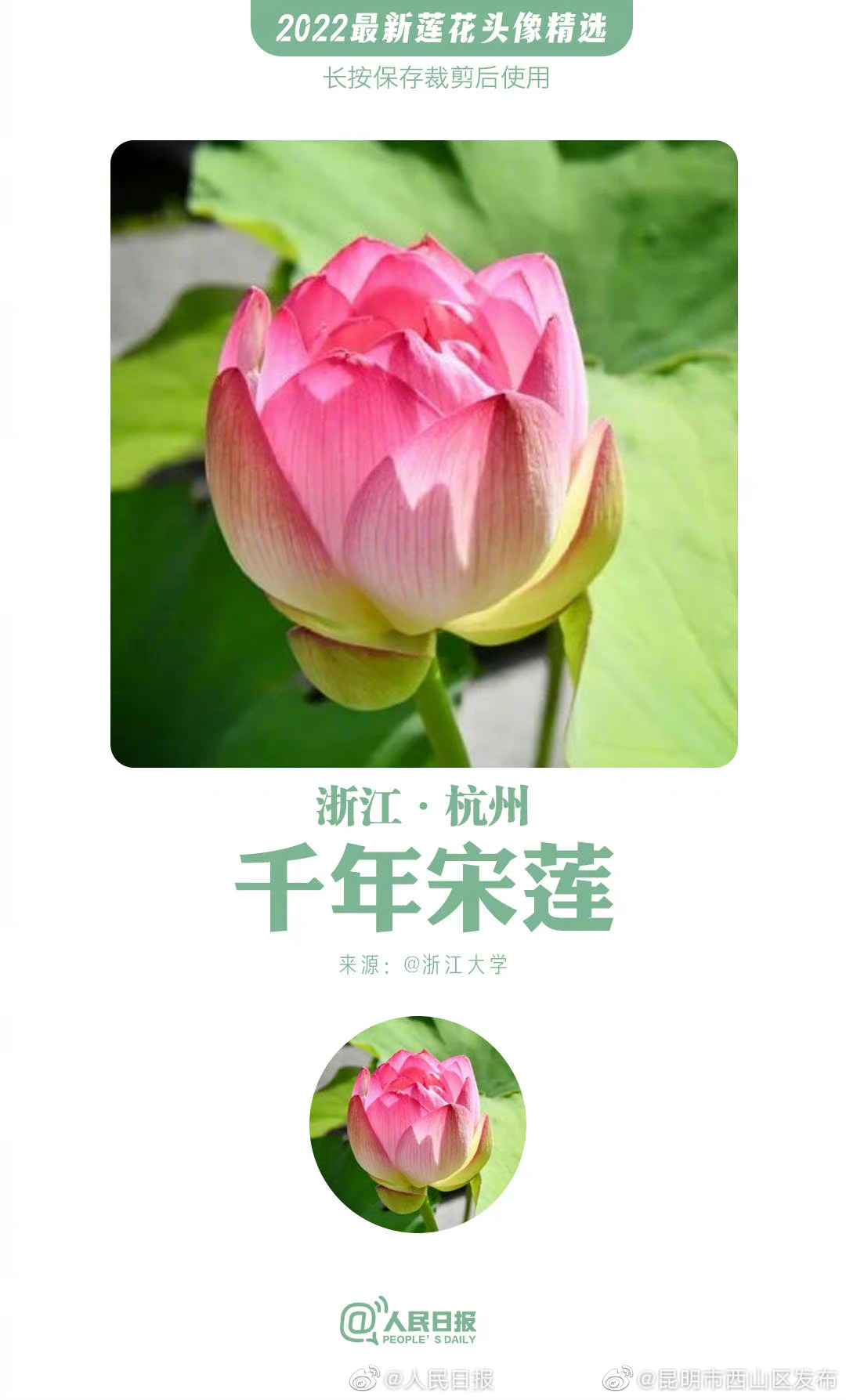 昆明市西山区发布