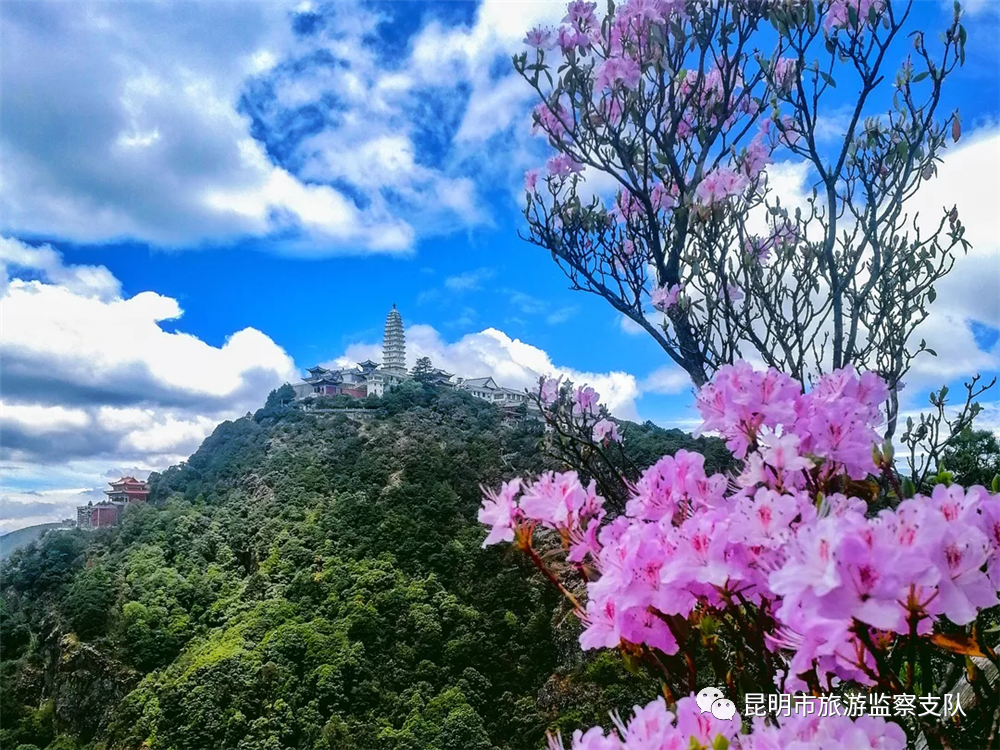 昆明市旅游监察支队