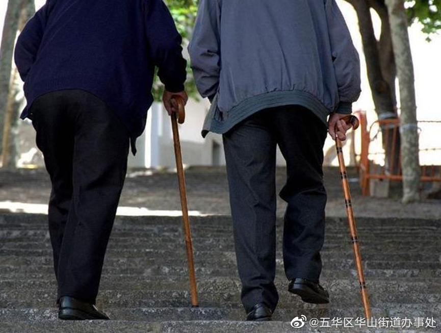 5年疯狂吸储132亿元！最高检发布打击整治养老诈骗犯罪典型案例