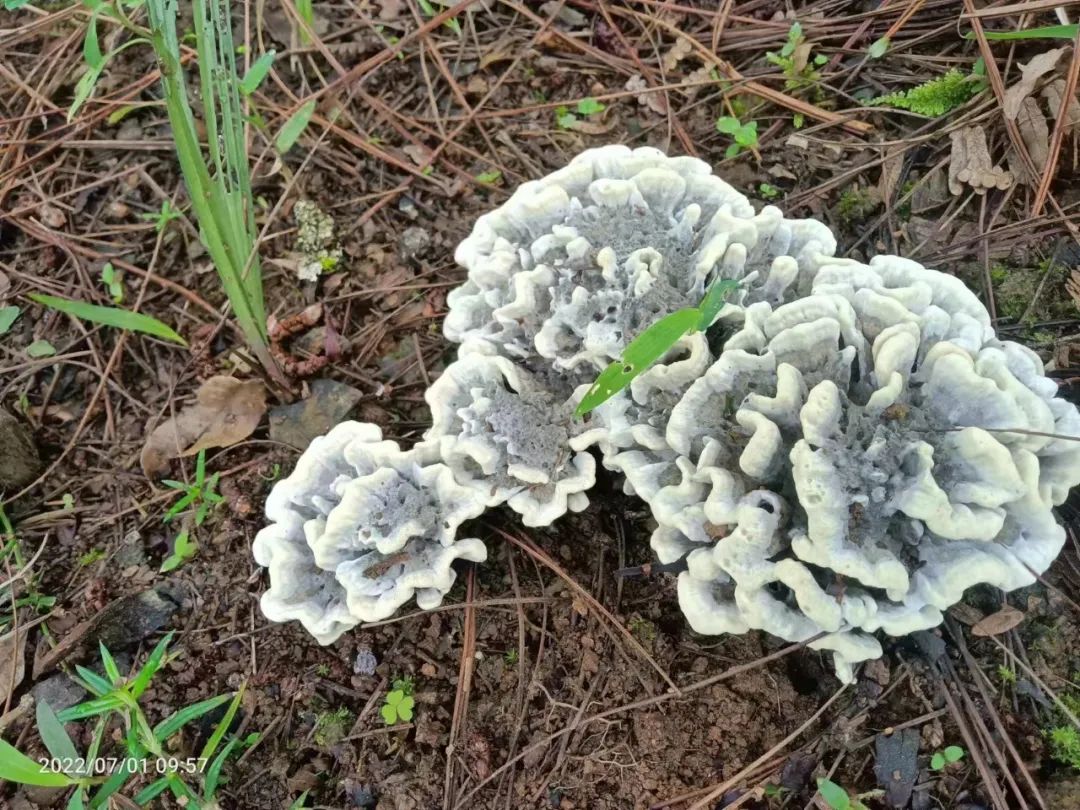 保山新闻网