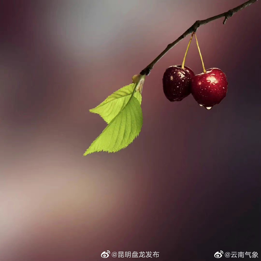 云南省未来24小时天气预报