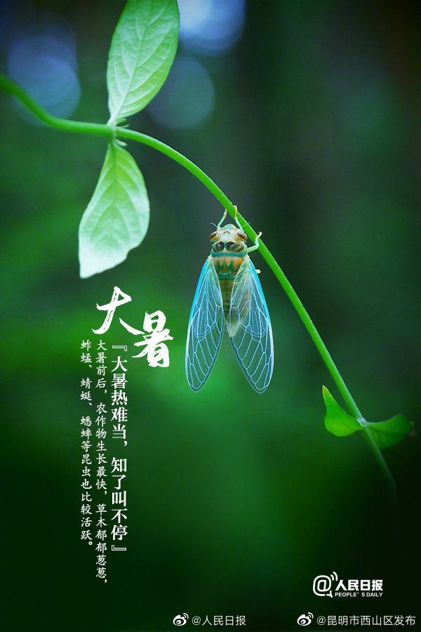 昆明市西山区发布