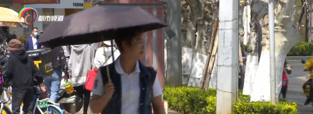 美丽云南微科普