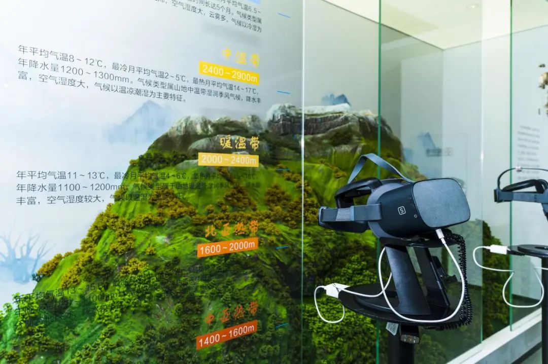 昆明轿子山旅游