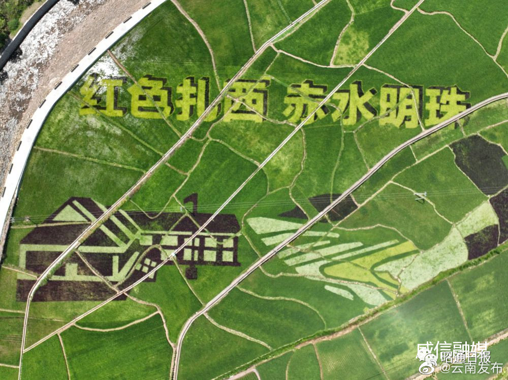 “云南发布”微博