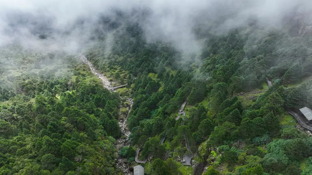 昆明轿子山旅游